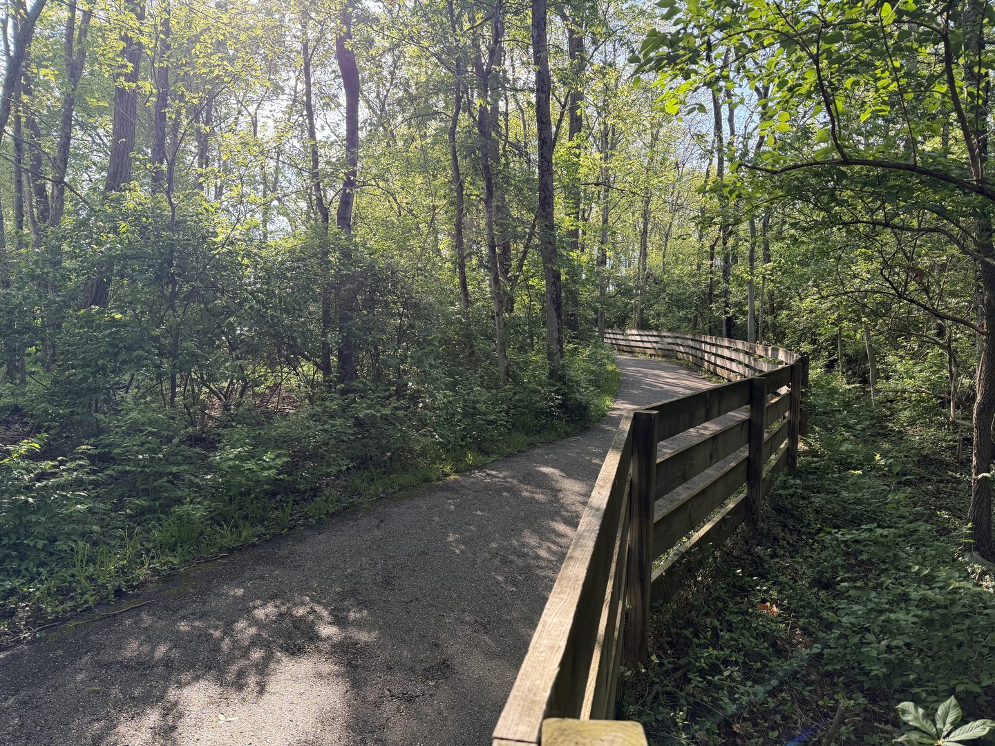Walking path